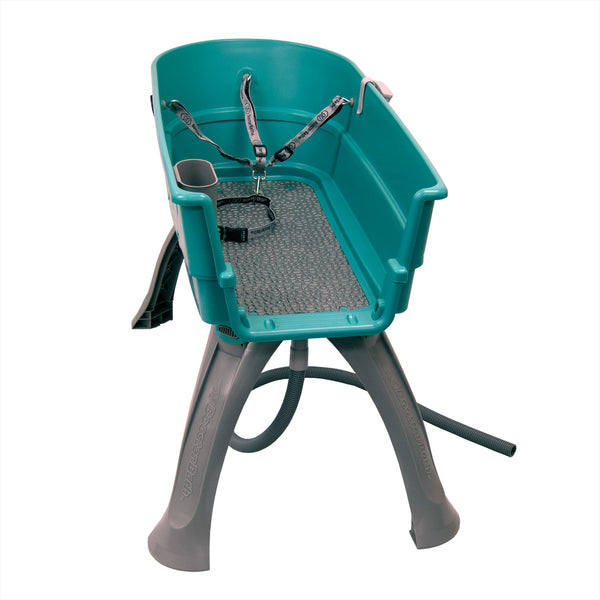 Petstores Elevated Dog Bath and Grooming Center, Medium - Teal - Bed Bath &  Beyond - 8372660