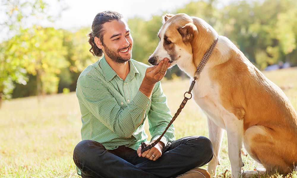 A man's best sale best friend dog