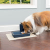 Digital Two Meal Pet Feeder | Dog Products 