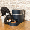 PetSafe® Smart Feed™  Automatic Feeder for iPhone & Android